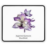 Zygonisia Cynosure ' Blue Bird' Orchid Mouse Pad