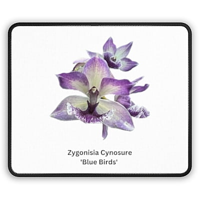 Zygonisia Cynosure ' Blue Bird' Orchid Mouse Pad