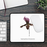 Paphiopedilum Schaetzchen Orchid Mouse Pad