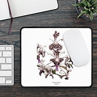 Vanda tricolor Orchid Mouse Pad
