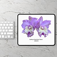 Cattleya Chief Pink 'Diana' Orchid Mouse Pad