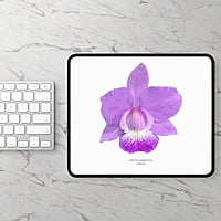 Cattleya walkeriana Orchid Mouse Pad