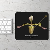 Paphiopedilum haynaldianum Orchid Black Mouse Pad