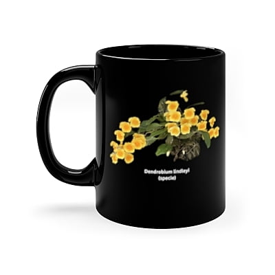 Dendrobium lindleyi Orchid Coffee Mug