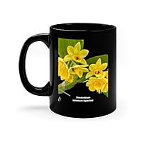 Copy of Dendrobium Sulcatum Orchid Coffee Mug