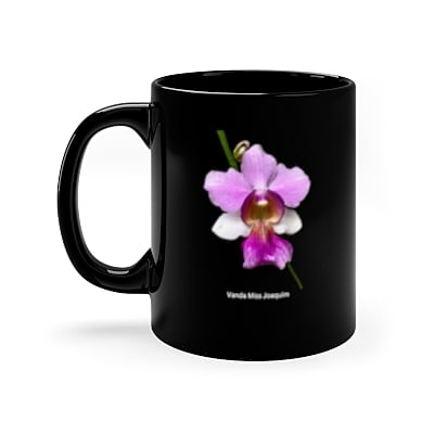 Vanda Miss Joaquim Orchid Mug