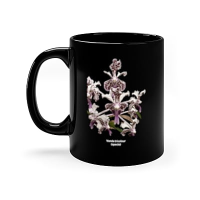 Copy of Vanda tricolor Orchid Coffee Mug