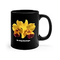Rhyncattleanthe Feng Weng Free Orchid Mug
