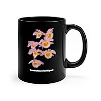 Dendrobium loddigesii Orchid Coffee Mug