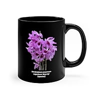 Dendrobium anosmum superbum 'Blue Lip' Orchid Coffee Mug