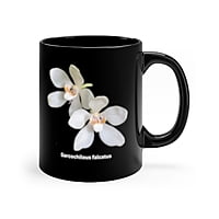 Sarcochilous falcatus Orchid Coffee Mug