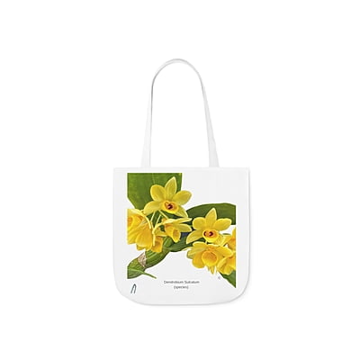 Dendrobium Sulcatum Orchid Tote Bag