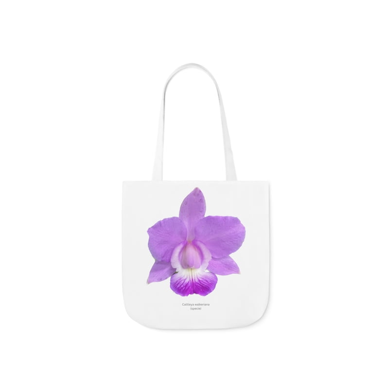 Cattleya walkeriana Orchid Tote Bag