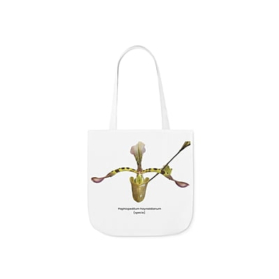 Paphiopedilum haynaldianum Orchid Tote Bag