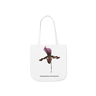 Paphiopedilum Schaetzchen Orchid Tote Bag
