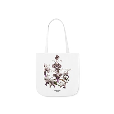 Vanda tricolor Orchid Tote Bag