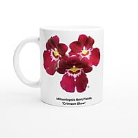 Miltoniopsis Bert Fields 'Crimson Glow' Orchid Coffee Mug