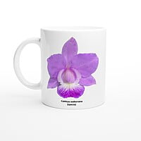 Cattleya walkeriana Orchid Coffee Mug