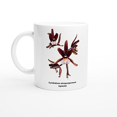 Cymbidium atropurpureum Orchid Coffee Mug
