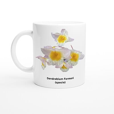 Dendrobium farmeri Orchid Coffee Mug