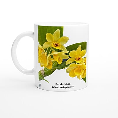 Dendrobium Sulcatum Orchid Coffee Mug