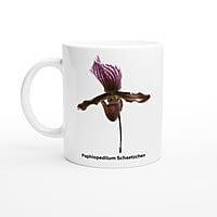 Paphiopedilum Schaetzchen Orchid Coffee Mug