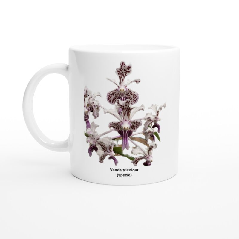 Vanda tricolor Orchid Coffee Mug