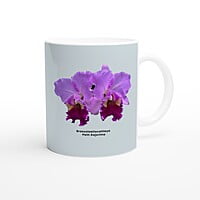 Brassolaeliocattleya Peth Rasjrima Orchid Blue Coffee Mug
