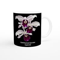 Cattleya purpurata Orchid Black Coffee Mug