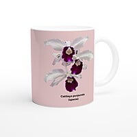 Cattleya purpurata Orchid Coffee Mug