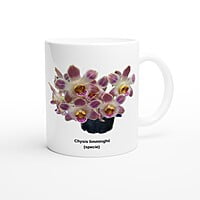 Chysis limminghei Orchid Coffee Mug
