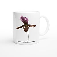 Paphiopedilum Schaetzchen Orchid Coffee Mug